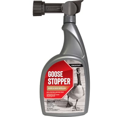Product — image 1